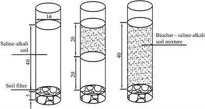 Effect of nitrogen reduction combined with biochar application on soda saline soil and soybean growth in black soil areas